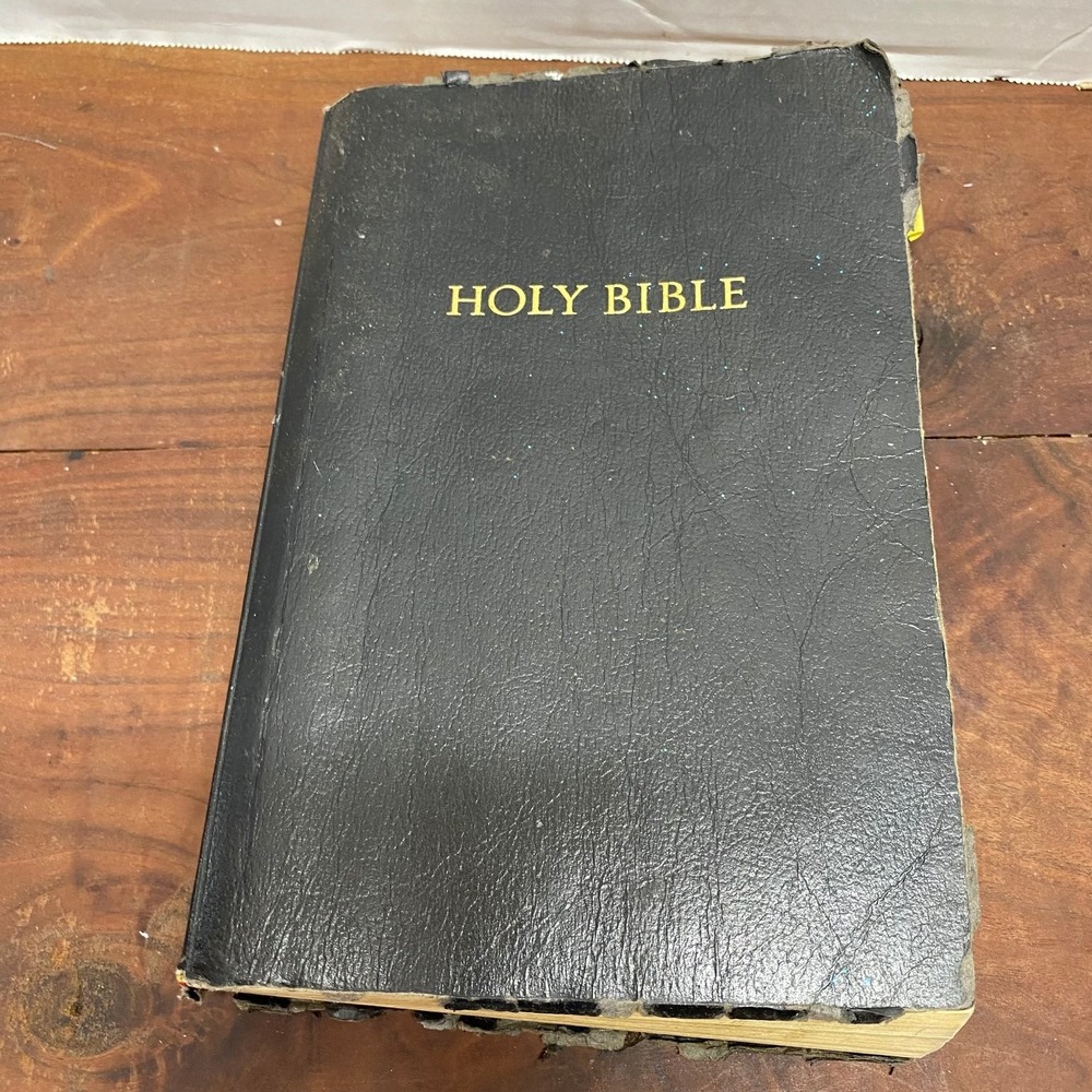 Holy Bible King James Version Giant Print Edition Words Jesus Red Concordance